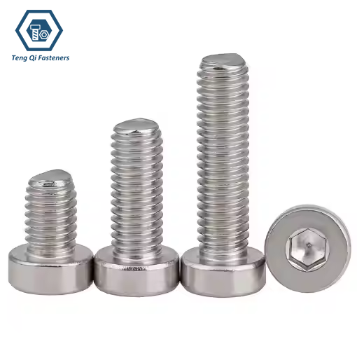 DIN7984 SS304 SS316 Hexagon Socket Head Cap Screws with Low Head Supplier Manufacturer