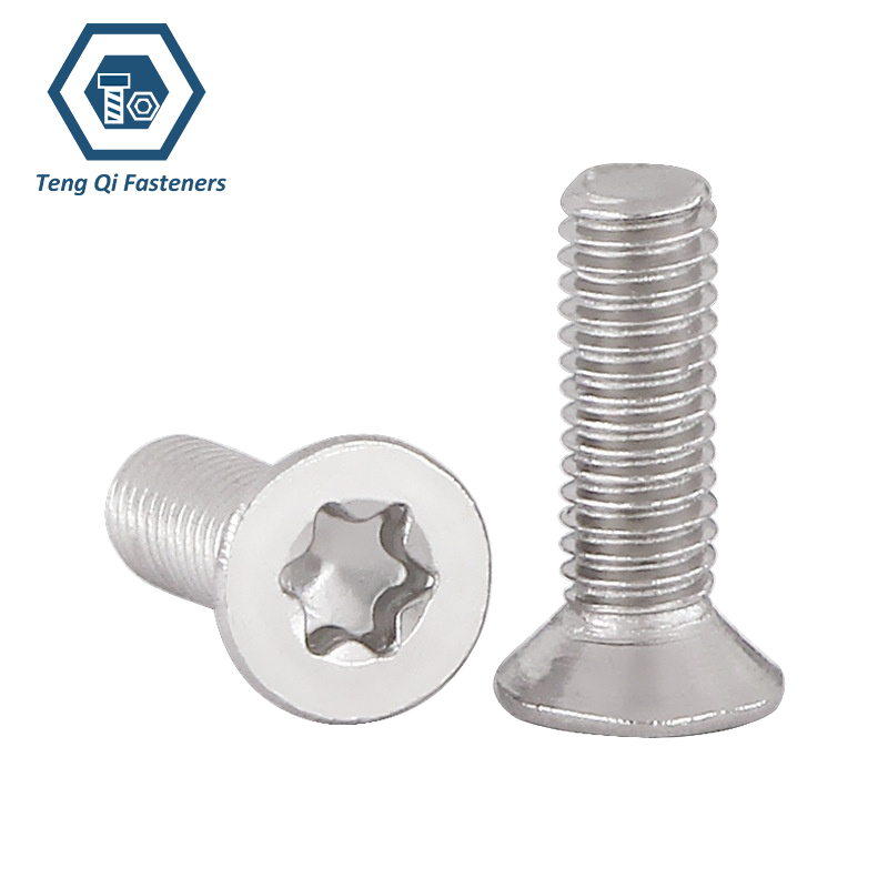 SS304 SS316 Countersunk Head Torx Screw