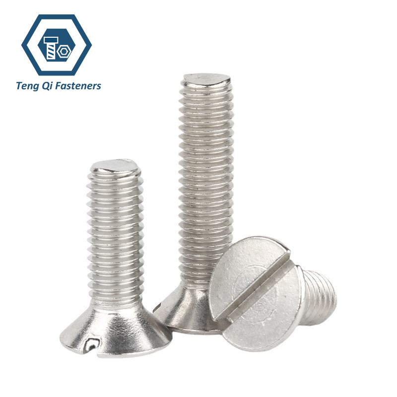 SS304 SS316 Slotted Countersunk Head Screws