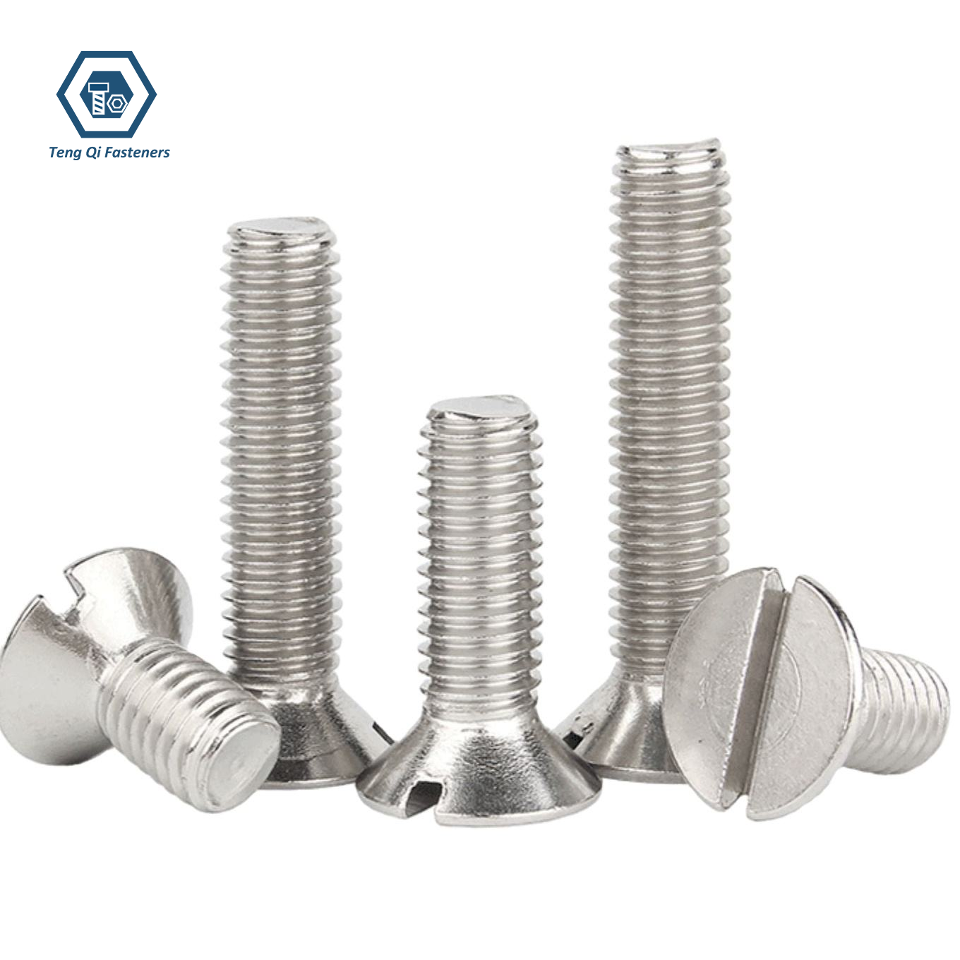 Stainless Steel Slotted Countersunk Head Screws