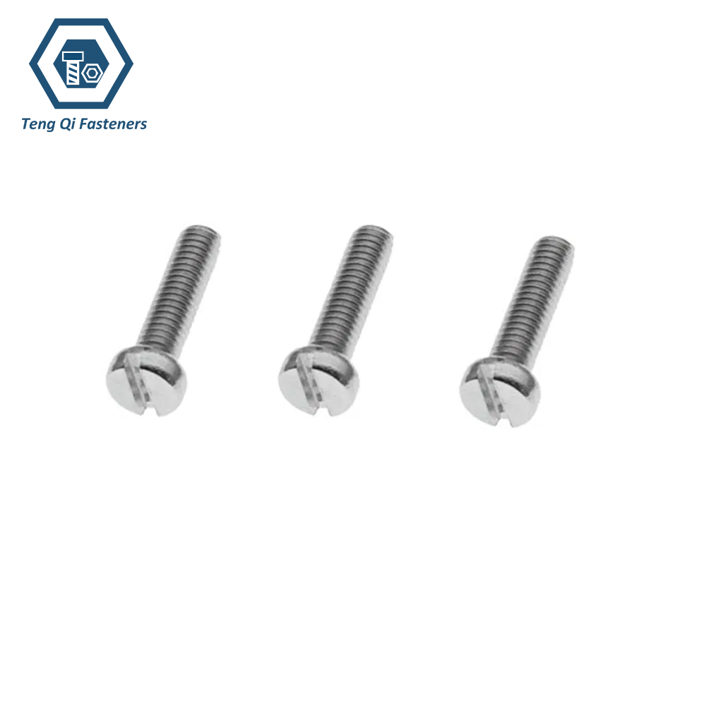 Stainless Steel Slotted Pan Head Screw