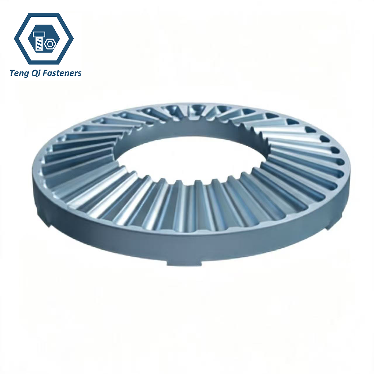 65Mn Zinc Plated DIN6795 Grounding Washers