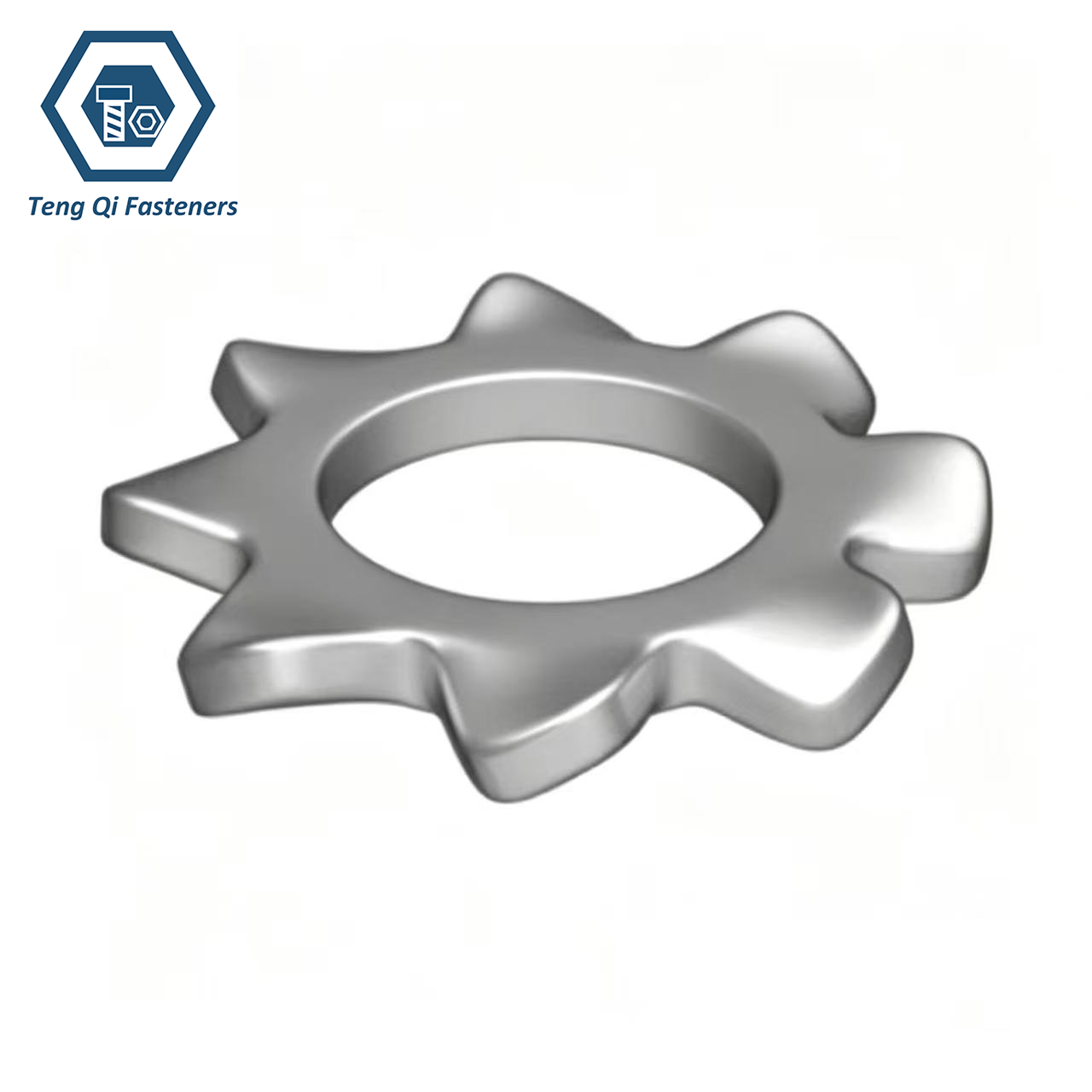 DIN6797A SS304 SS316 External Teeth Lock Washers