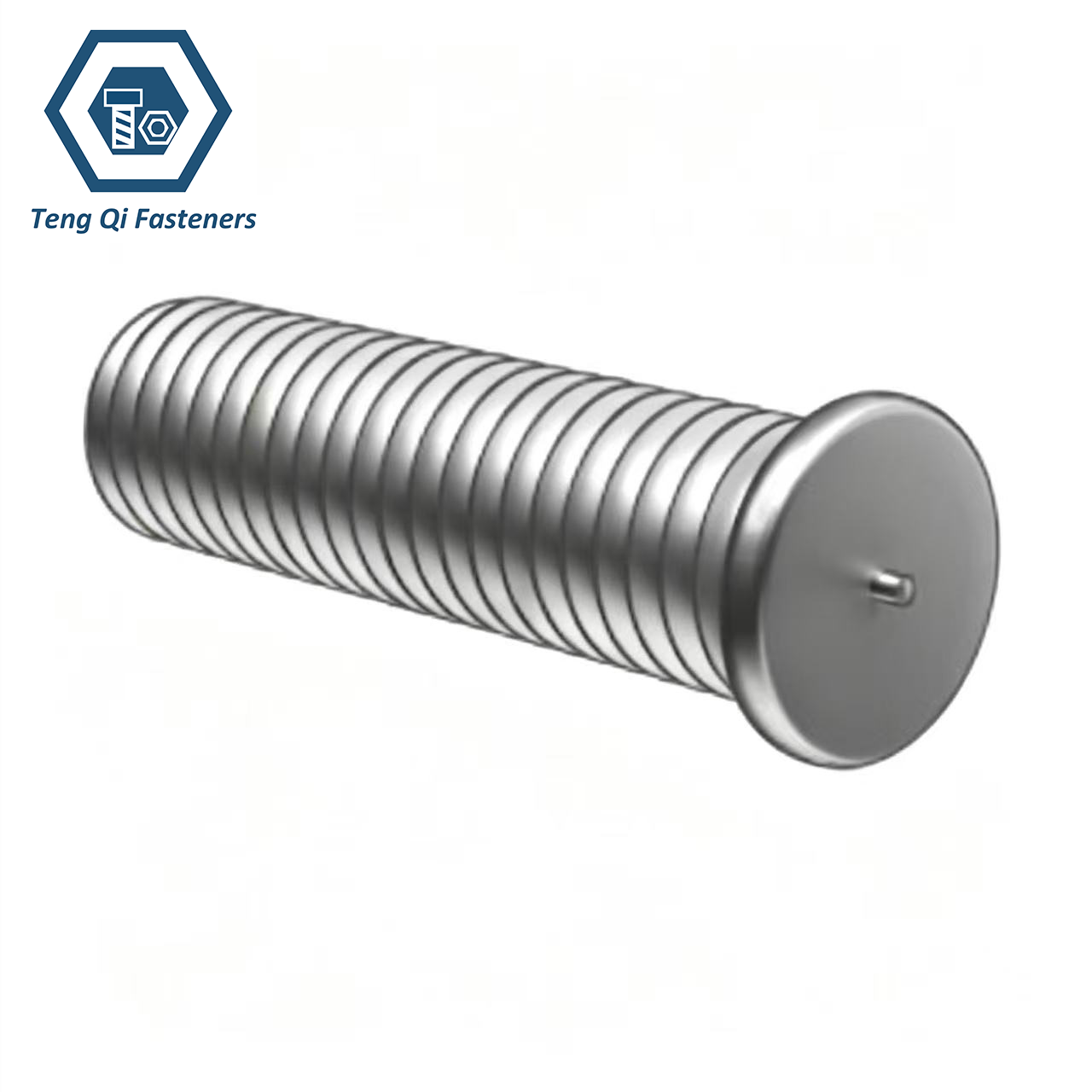 SS304 DIN32501 Studs for Stud Welding with Tip Ignition