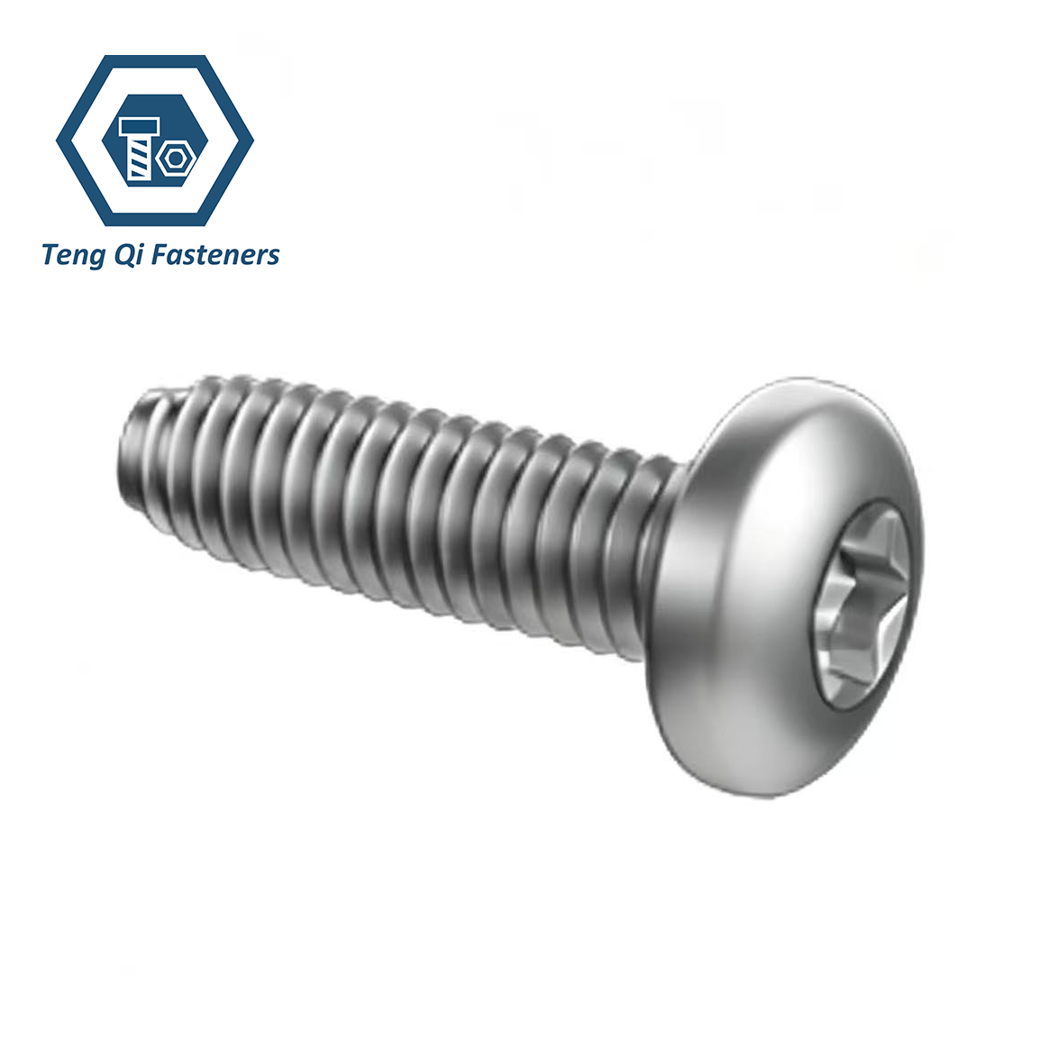 SS304 SS316 DIN7500PE Torx Pan Head Thread Rolling Screws