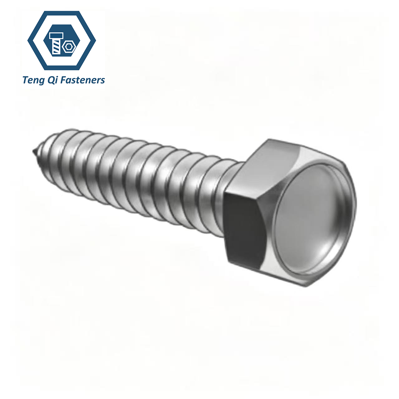 SS304 SS316 DIN7976 Hexagon Head Tapping Screws SS304 SS316 DIN7976 Hexagon Head Tapping Screws