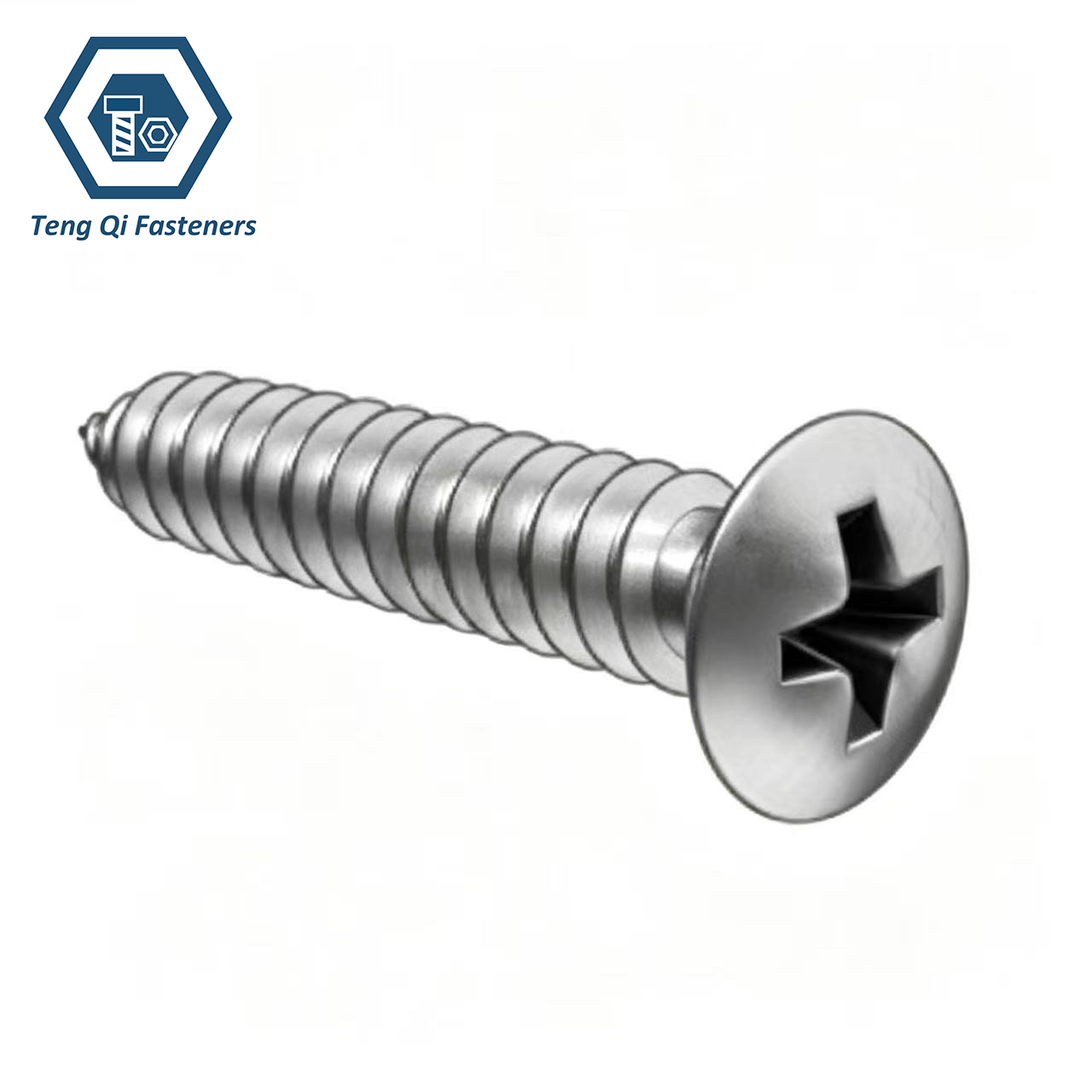 SS304 SS316 DIN7983 Cross Recessed Raised Countersunk Head Tapping Screws