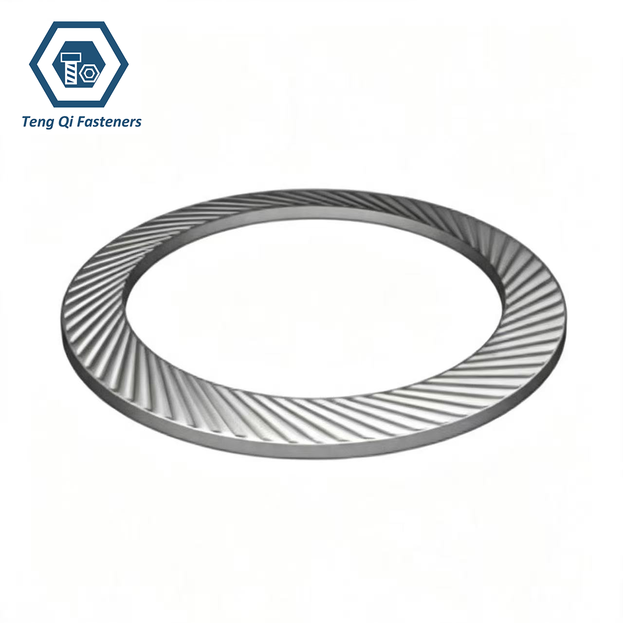 SS304 SS316 DIN9250 Butterfly Lock Washers