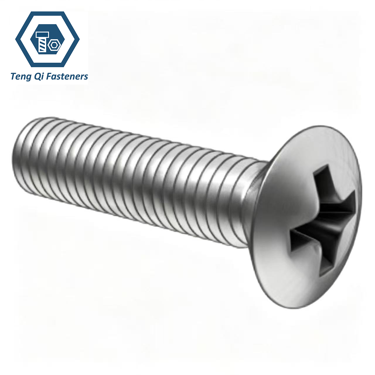 SS304 SS316 DIN966 Cross Recessed Raised Countersunk Head Screws