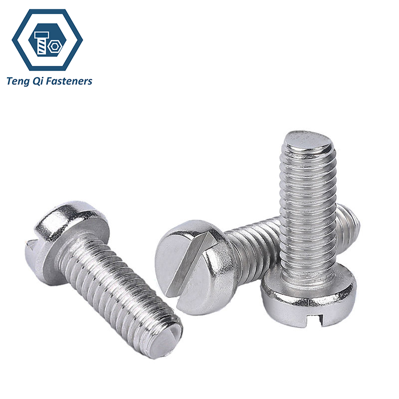 SS304 SS316 ISO1207 Slotted Cheese Head Screws
