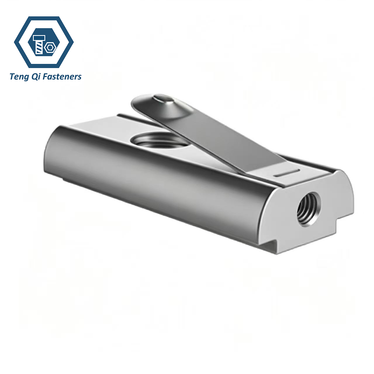 SS304 SS316 Single Leaf Spring T-Slot Sliding Nut