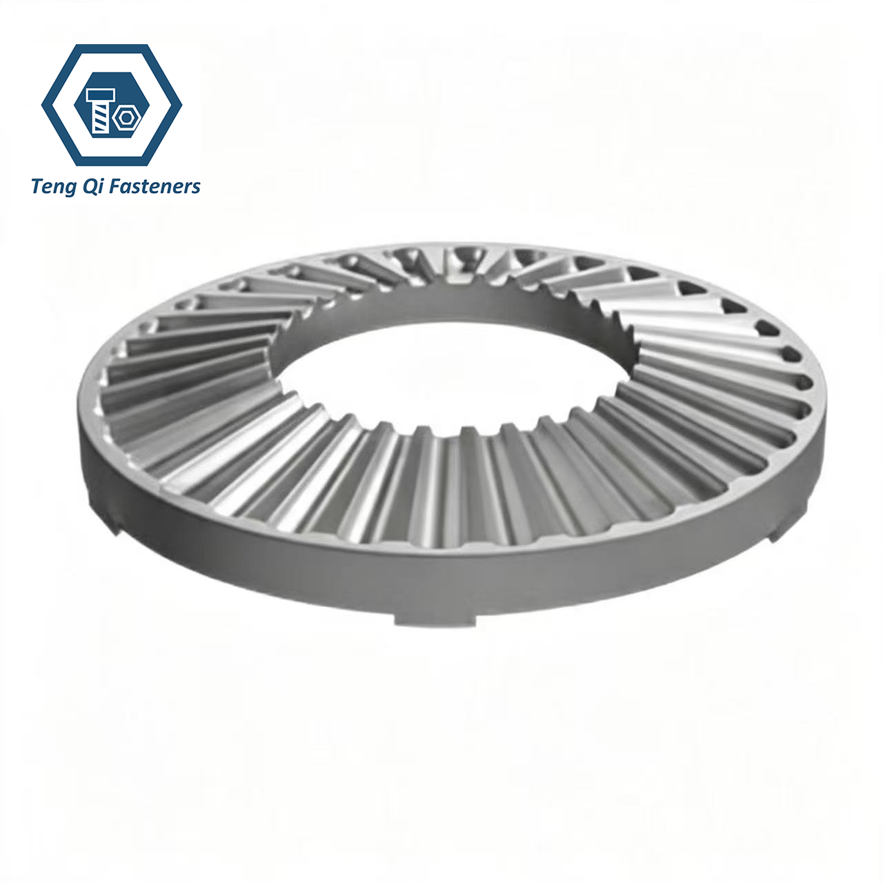 SS304 Stainless Steel DIN6795 Grounding Washers