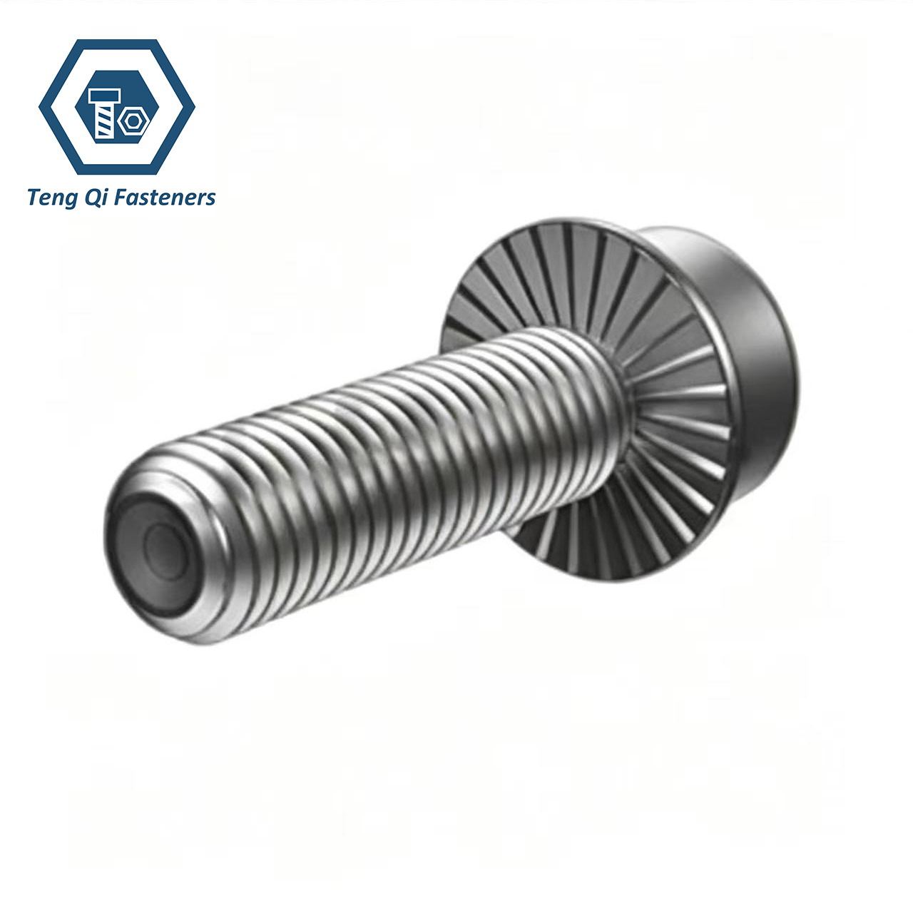 Stainless Steel DIN251 Hexagon Socket Head with Serrated Flange Screws
