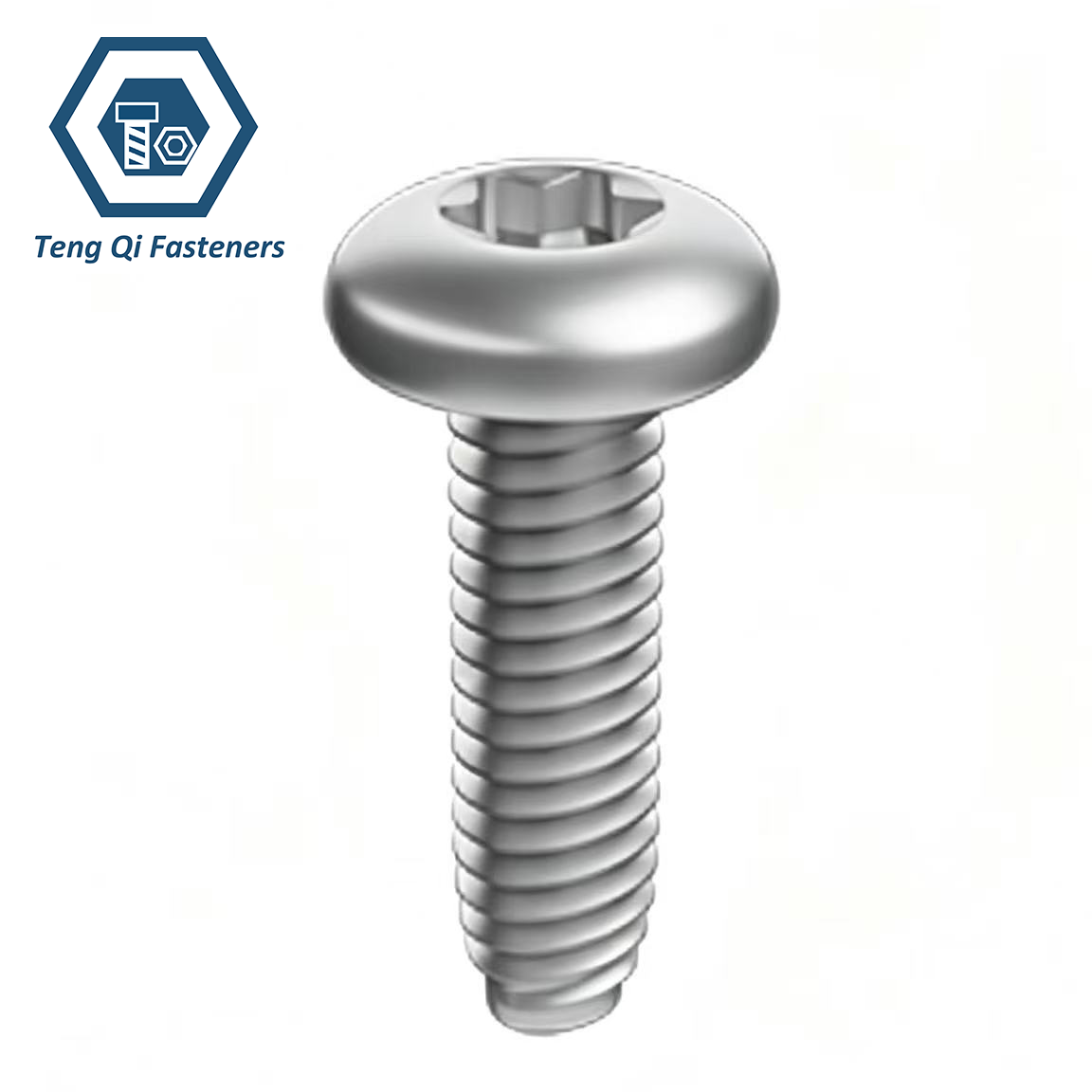 Stainless Steel DIN7500PE Torx Pan Head Thread Rolling Screws