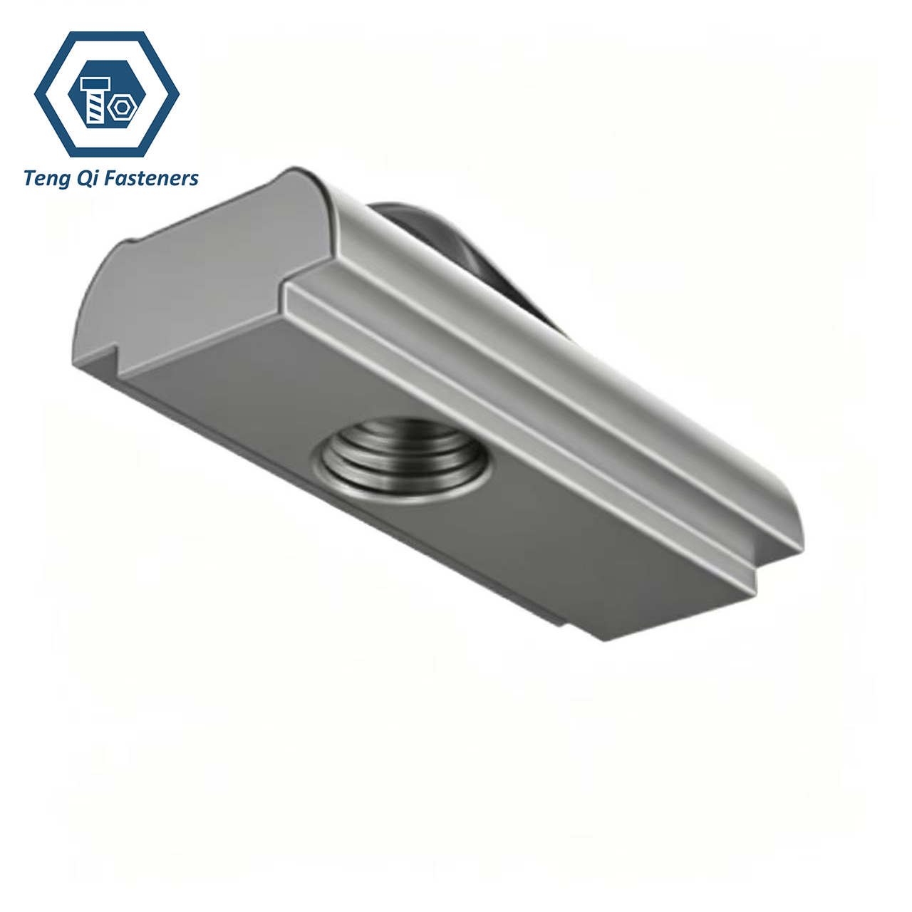 Stainless Steel Roll in Single Leaf Spring T-Slot Sliding Nut