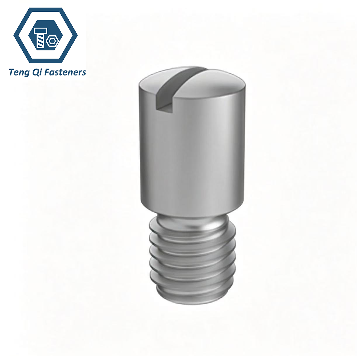 Stainless Steel Slotted Shoulder Screws