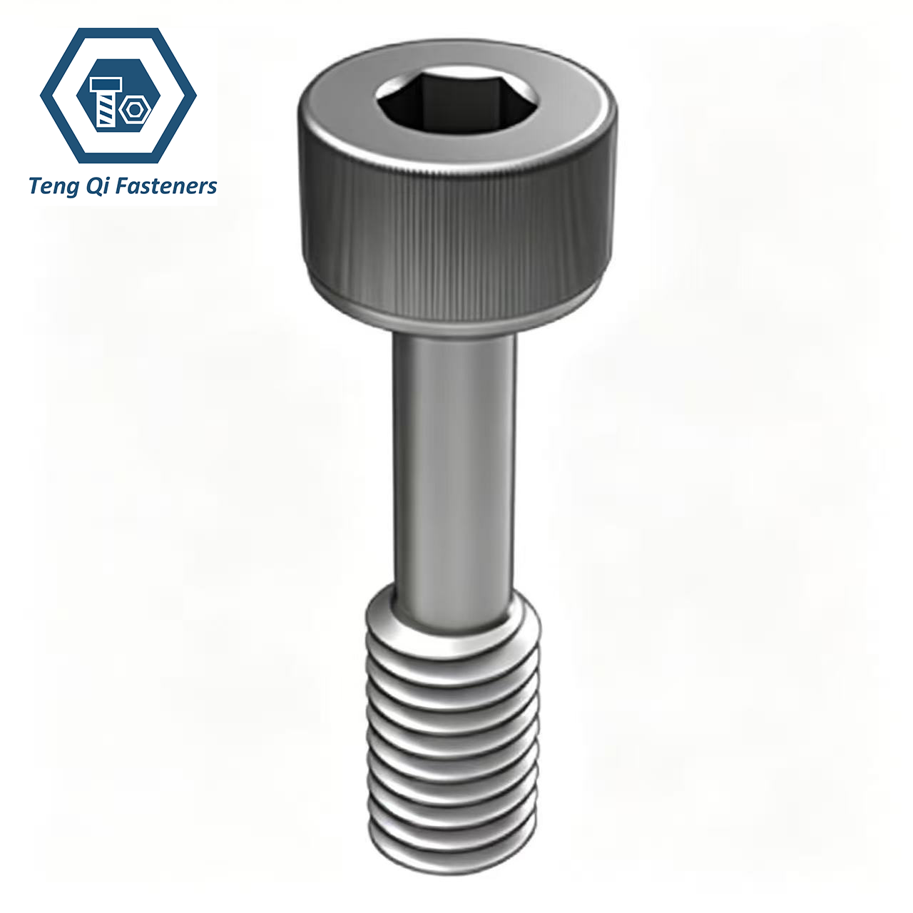 Stainless Steel Socket Head Cap Captive Screw