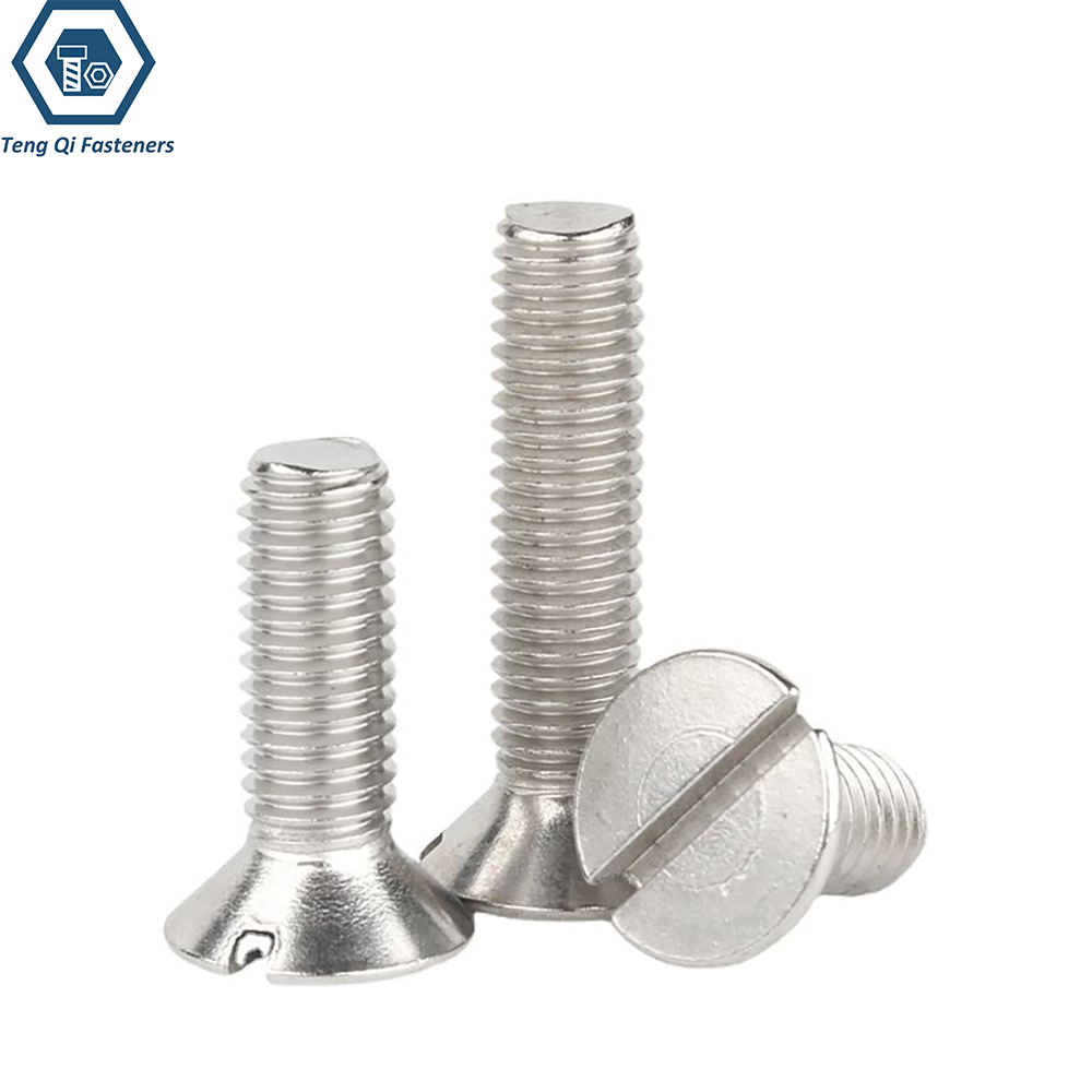SS304 SS316 Slotted Countersunk Head Screws